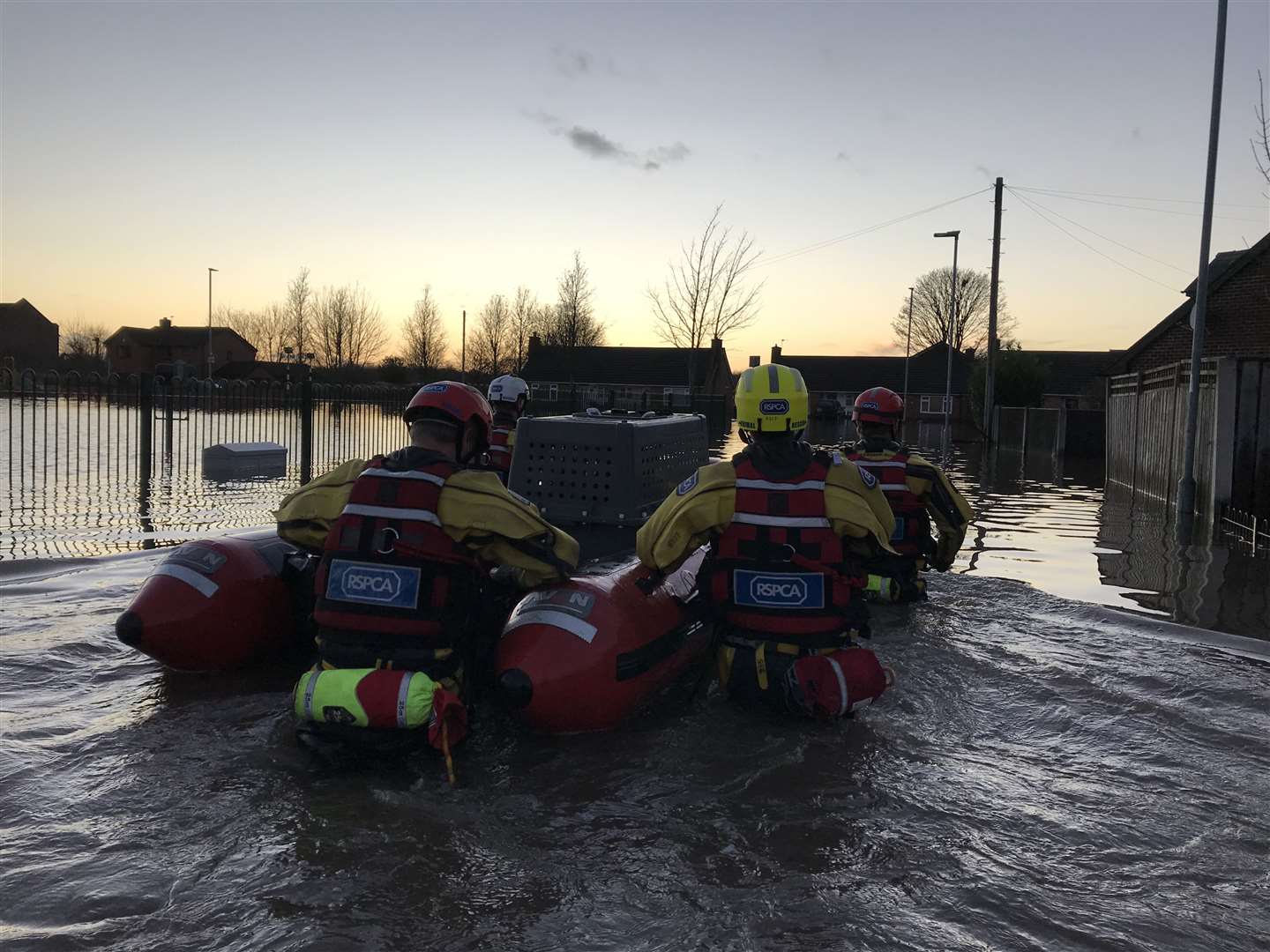 The RSPCA team wade through floodwater (RSPCA)