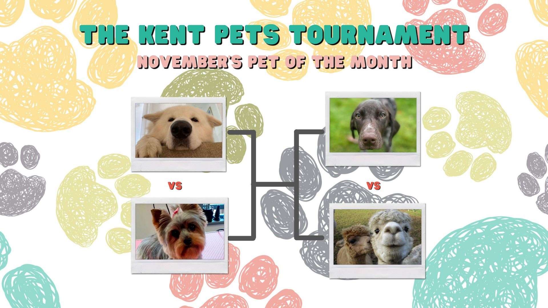 Who should go into the final of November's Kent Pets Tournament?