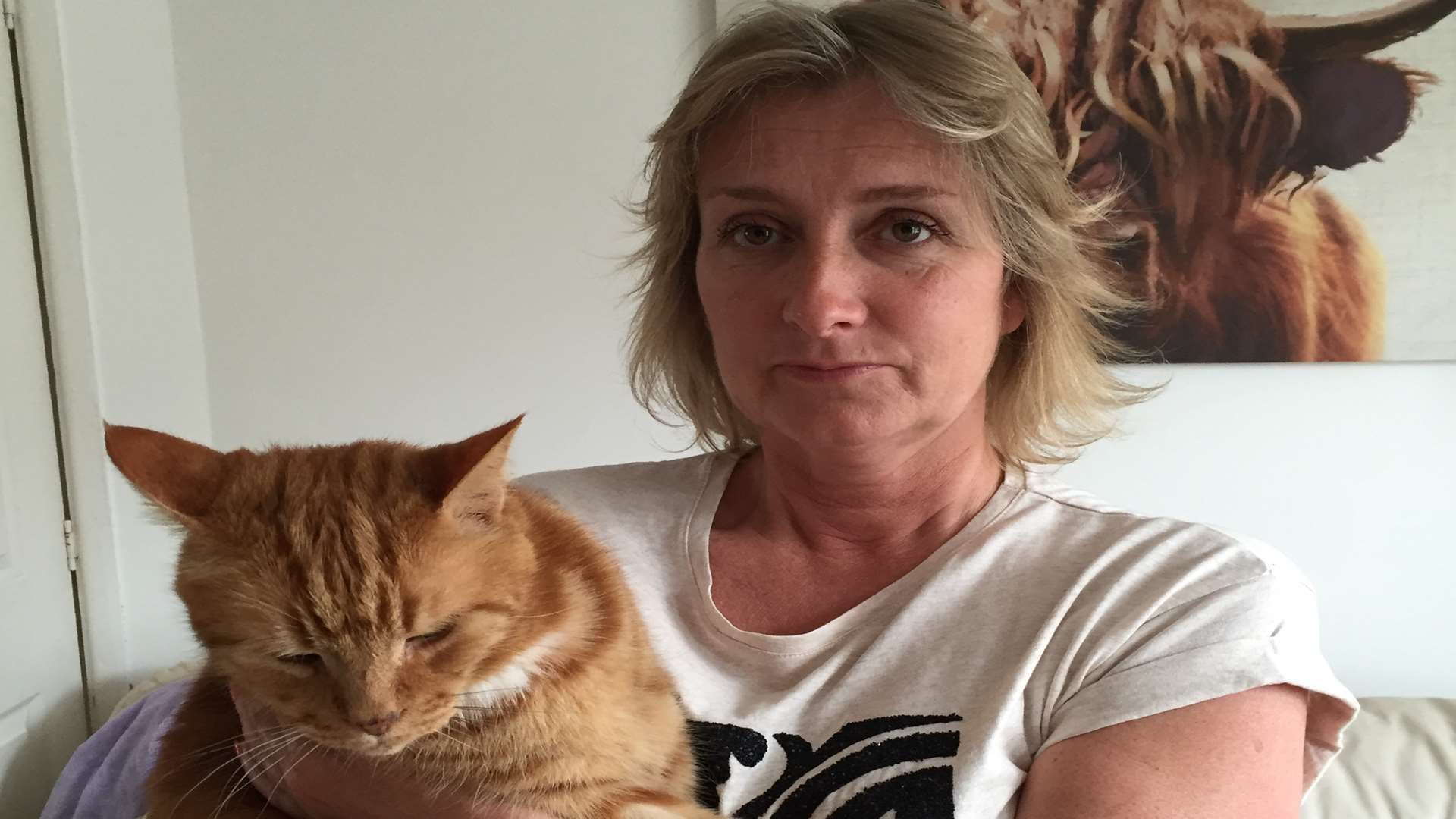 Sarah Fricker with 13-year-old ginger moggy Jasper