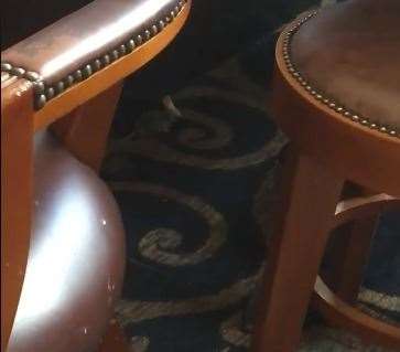 A mouse eating a chip was spotted in Thomas Waghorn Wetherspoons in Railway Street, Chatham on Thursday (13543874)