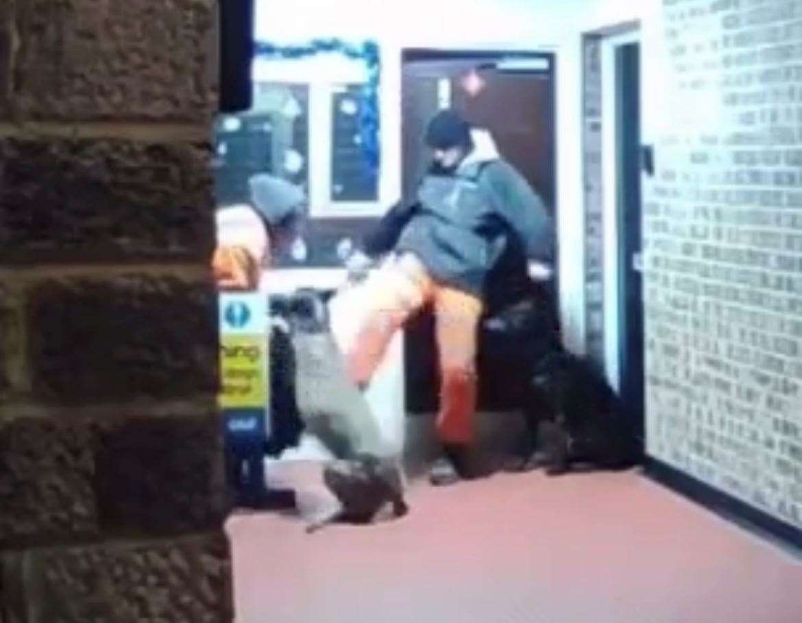 A shocking video shows a man kicking a dog in Ashford