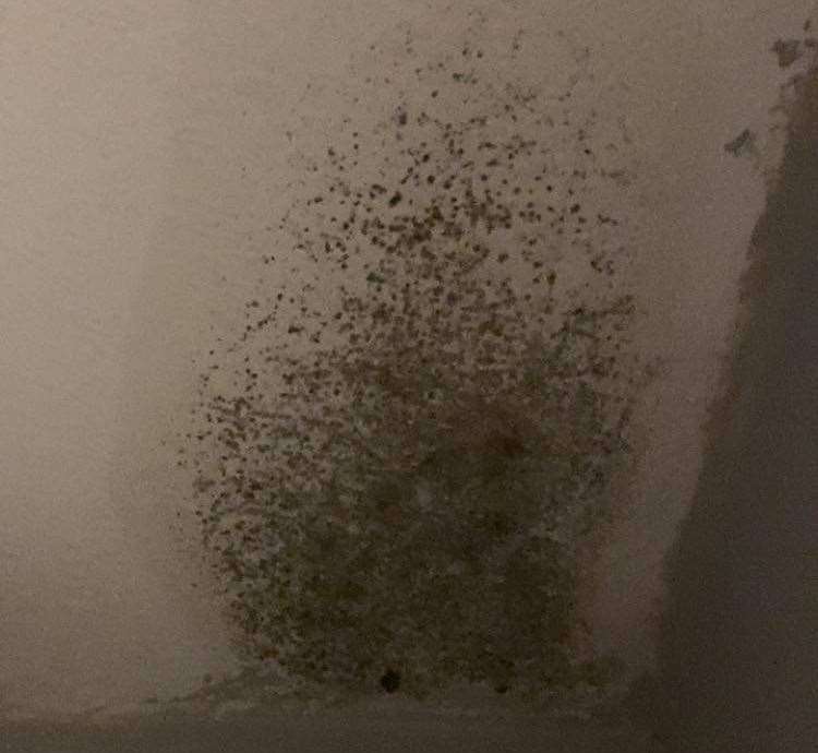 The mould in Kayleigh Hunt's flat in Beechings Way, Twydall. Picture: Kayleigh Hunt