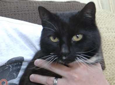 Tibbs is settling back into his home... three years after he disappeared