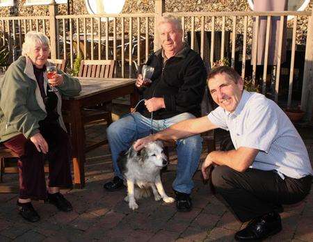 Border collie Meg was found at the Belle Vue Tavern, Pegwell