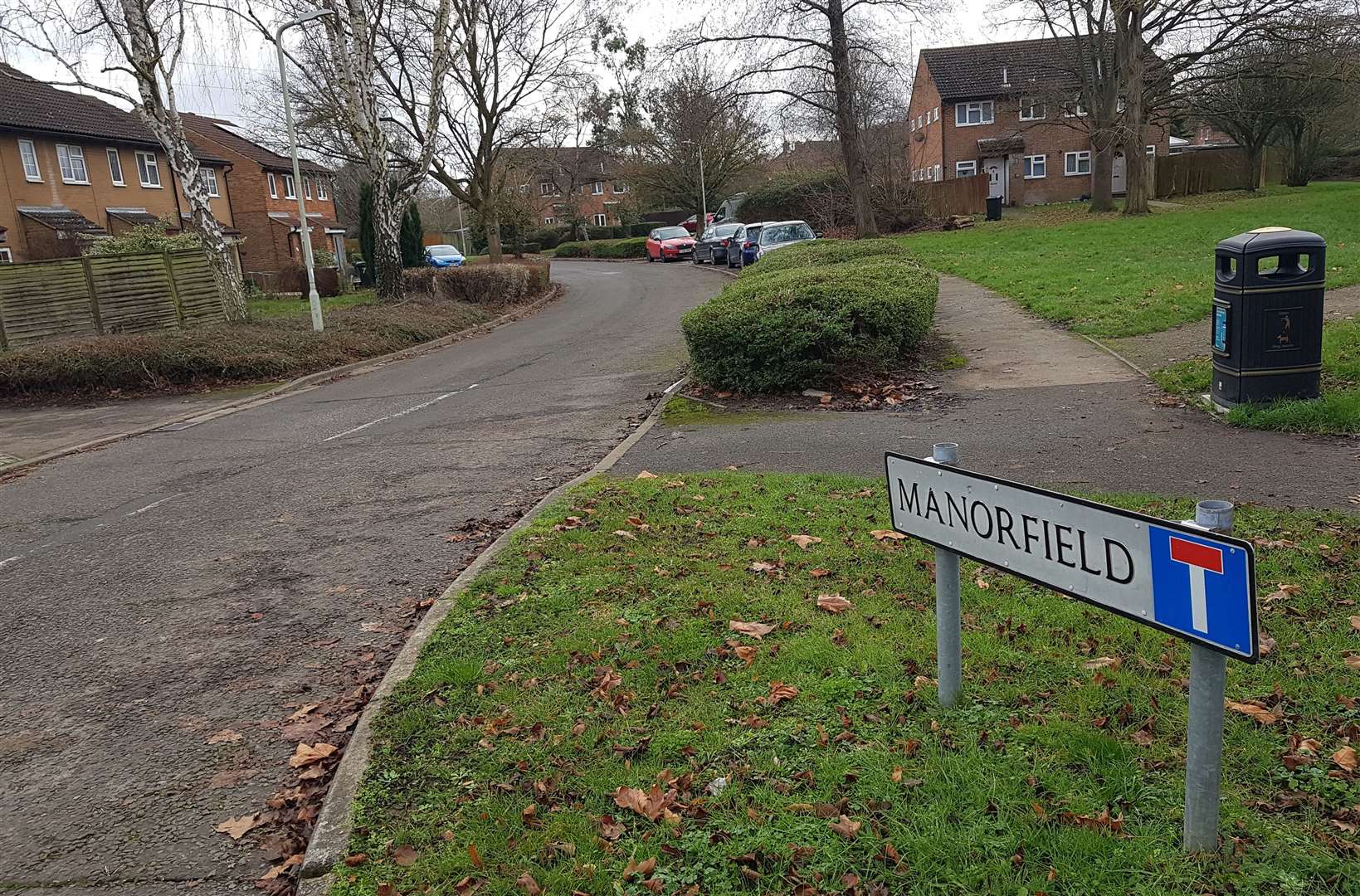A dog has died after a kitchen fire in Manorfield, in Singleton