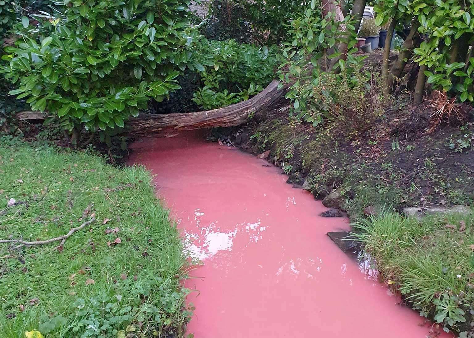 The bizarrely pink stream in Kennington, Ashford