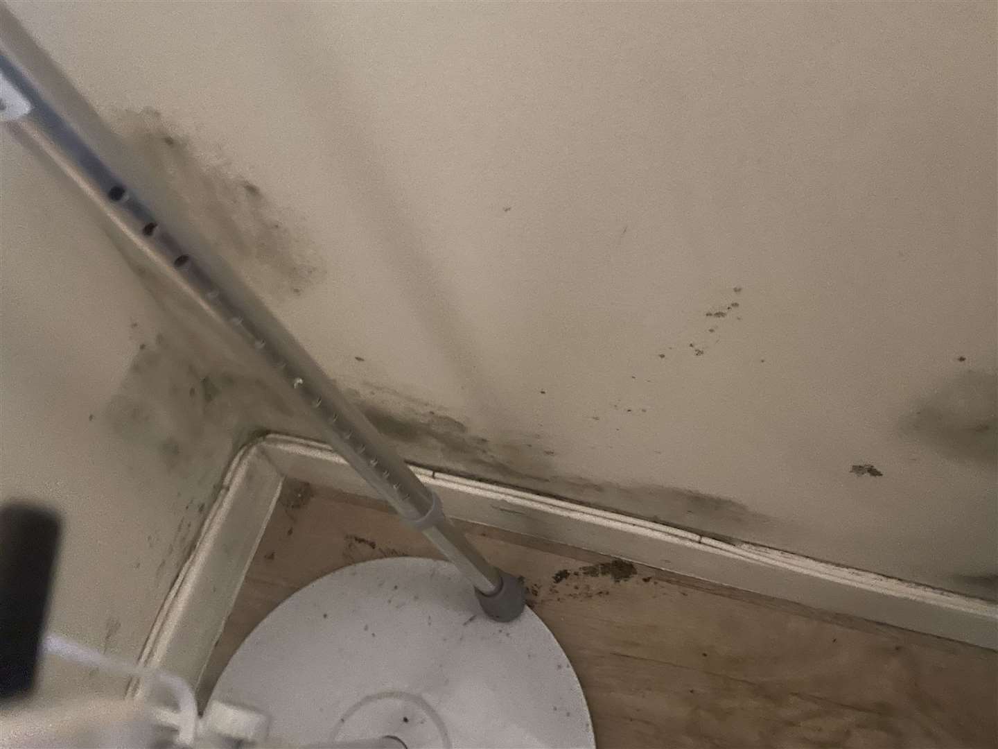 More mould in June and Debrah's House. Picture: Laura Roebuck