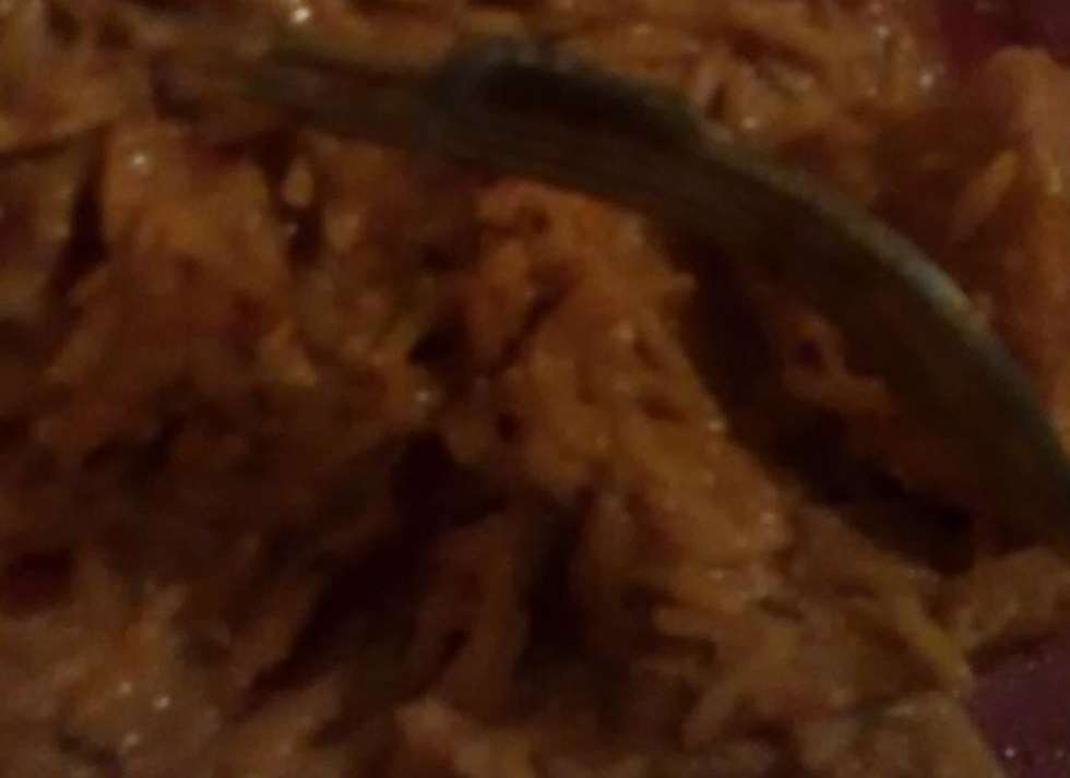 Mr Damms spotted the centipede crawling through his curry
