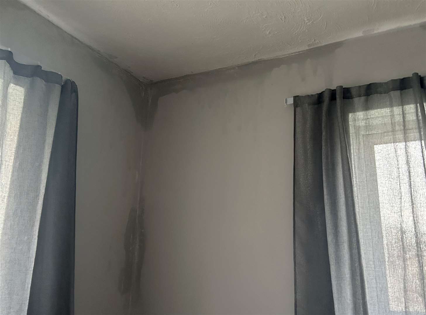 Damp and water running down Anna’s bedroom wall. Picture: Anna-Maria Gereb