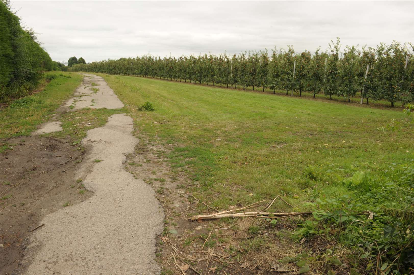 Orchard between Pump Lane and Lower Bloors Lane..Protest picnic..Picture: Steve Crispe. (14405239)