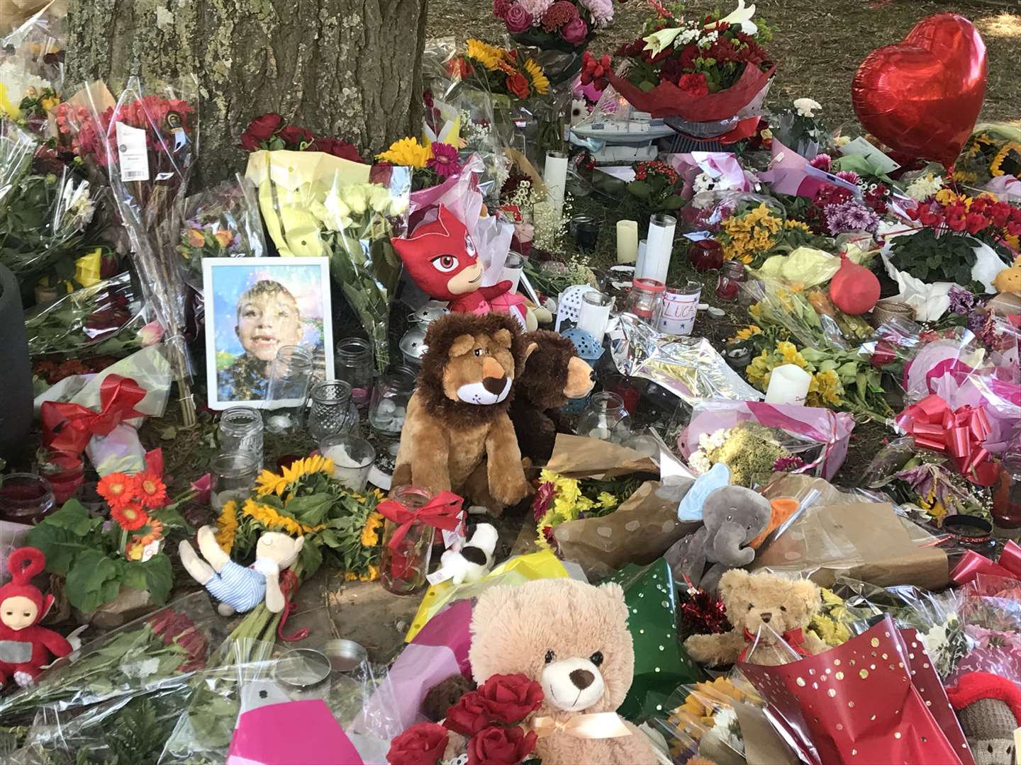 Touching tributes to Lucas Dobson have been placed around a tree at Sandwich Quay