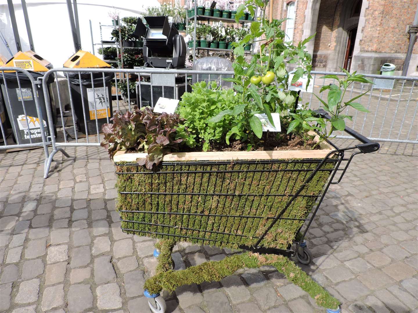 A shopping trolley complete with fresh vegetables