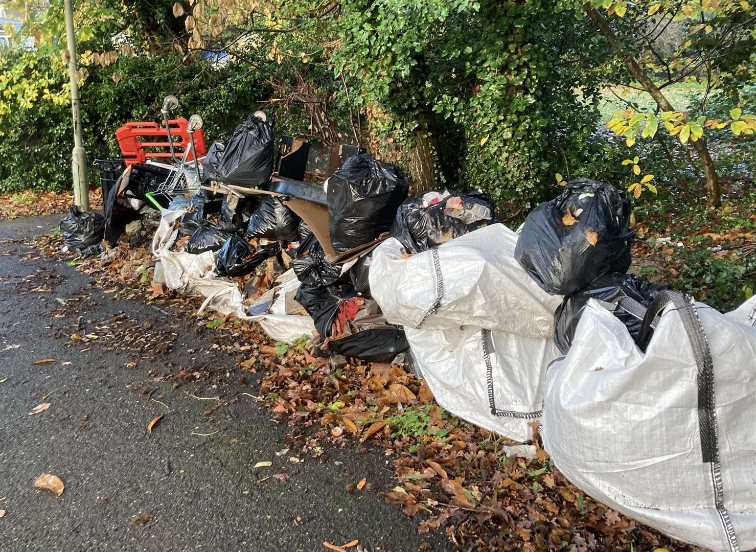 Waste fly-tipped in woods near Hales Place, Canterbury, that has been placed in an alley for the council to collect