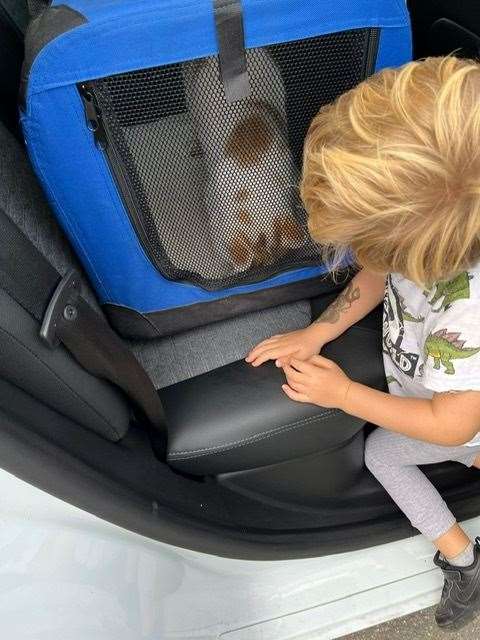 Ted is on his way home after family collect him from zoo