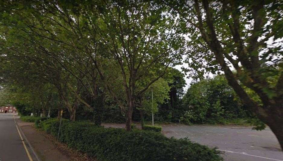 Wickes wanted to cut down the avenue of trees along Cow Lane