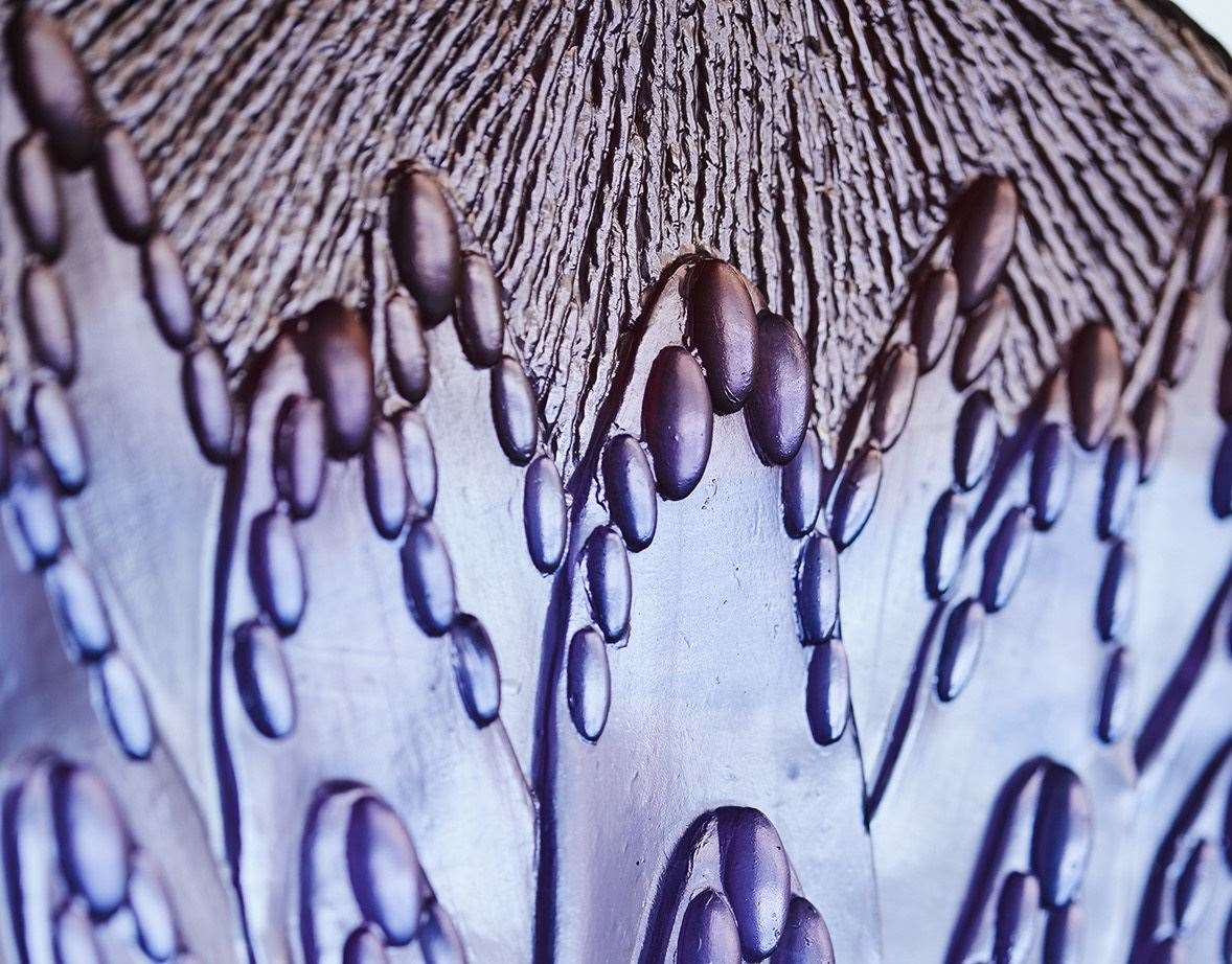 A close up of the Scottish thistle design, by Maidstone glass artist Max Jacquard. Picture: Brent Darby