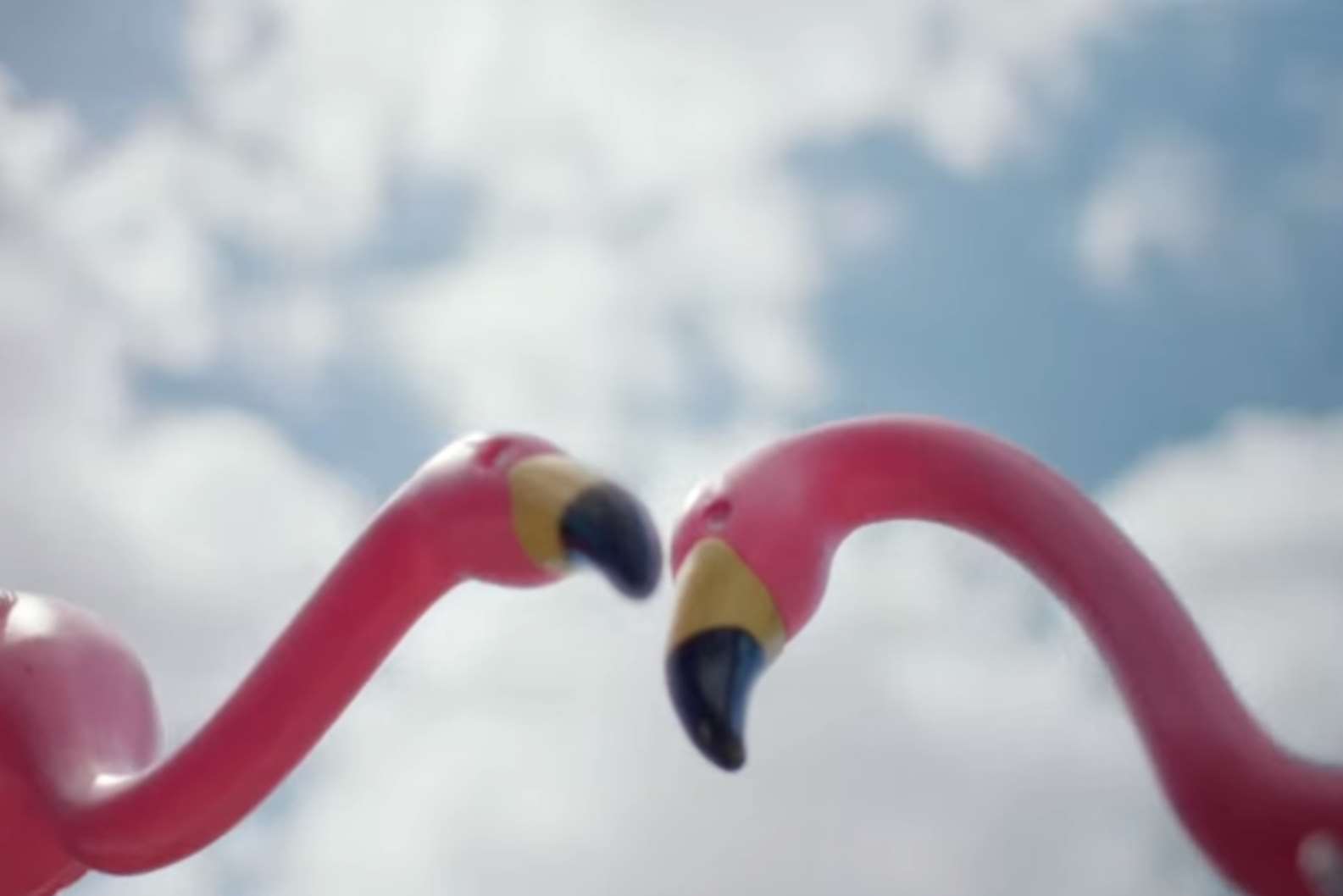 Two flamingos also make a guest appearance in the McDonald's advert