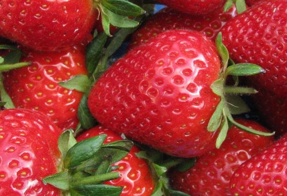 Charlton Farms provides strawberries to a host of supermarkets