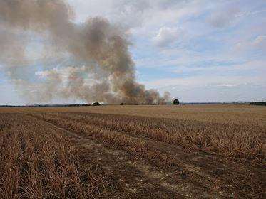 The field fire near Rodmersham Green, Sittingbourne. Picture: Jodi Gallagher
