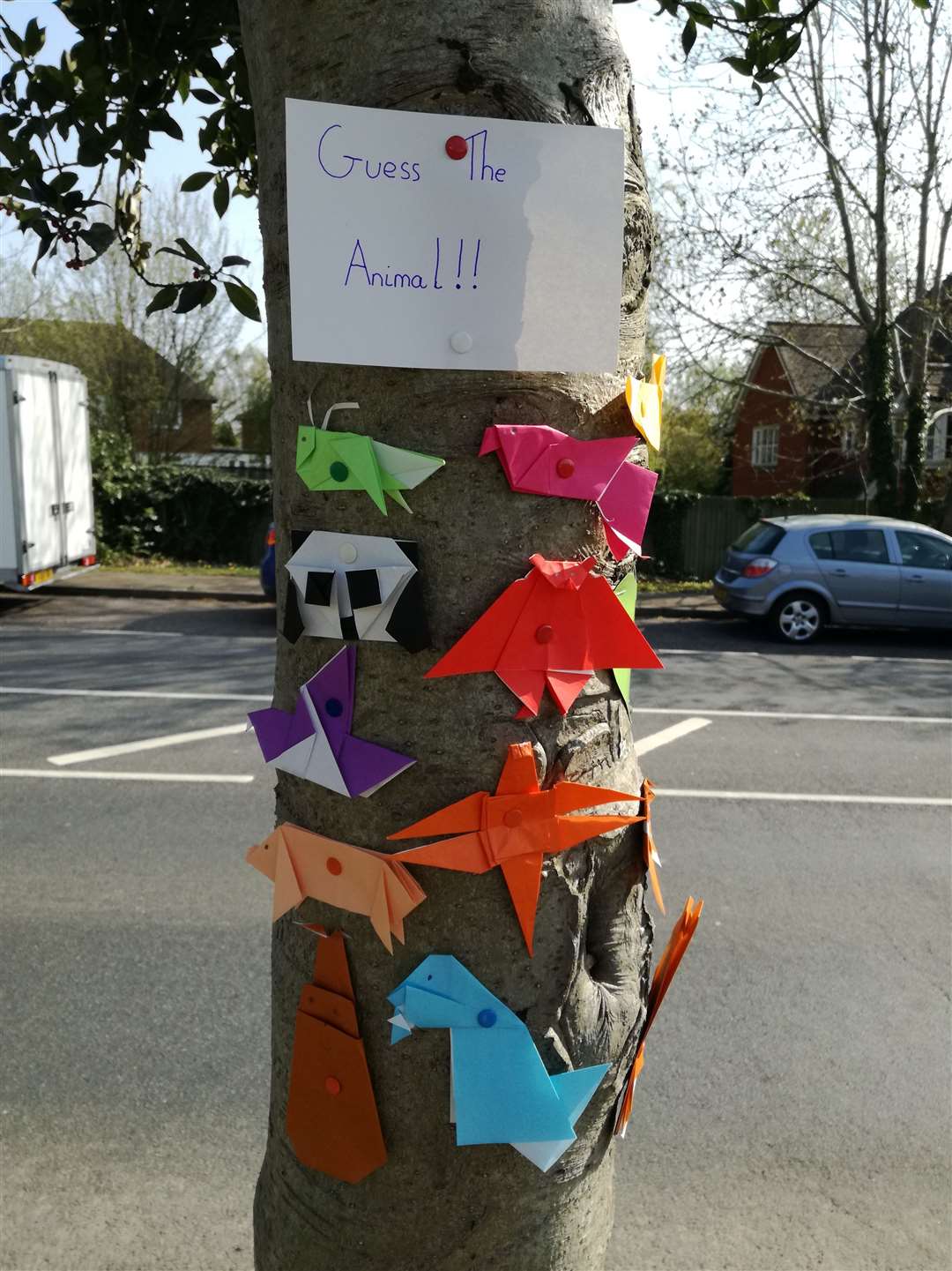Yumi Knox, aged 11, learnt origami and then put this display up outside her house in Tonbridge