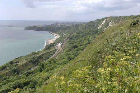 Cliff at Caple, near Dover