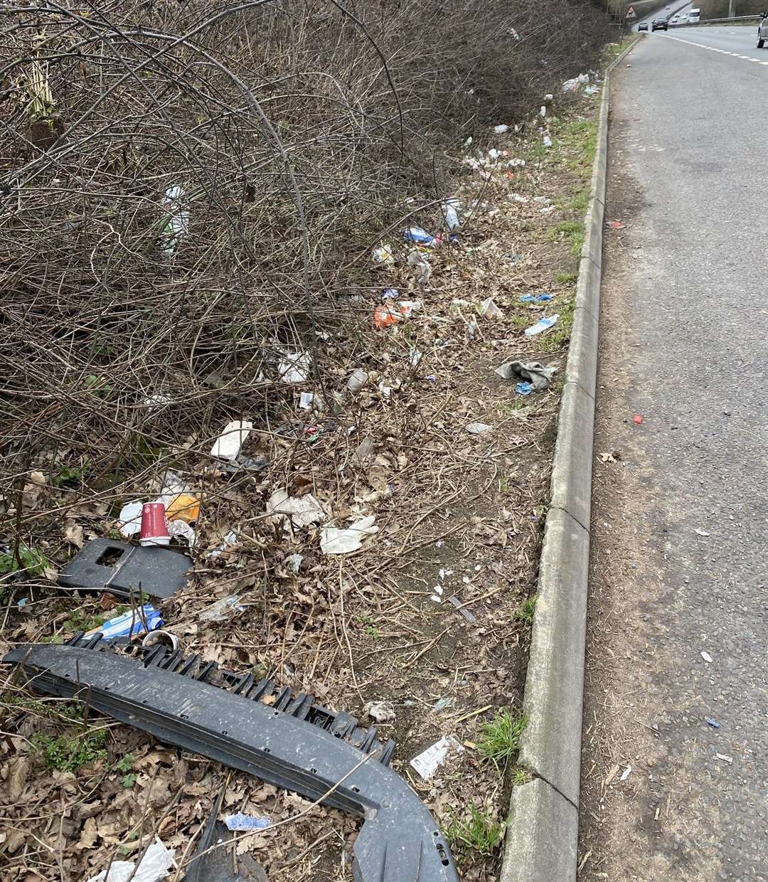 Laura said there were dead animals lying along the A21. Picture: Laura Collins
