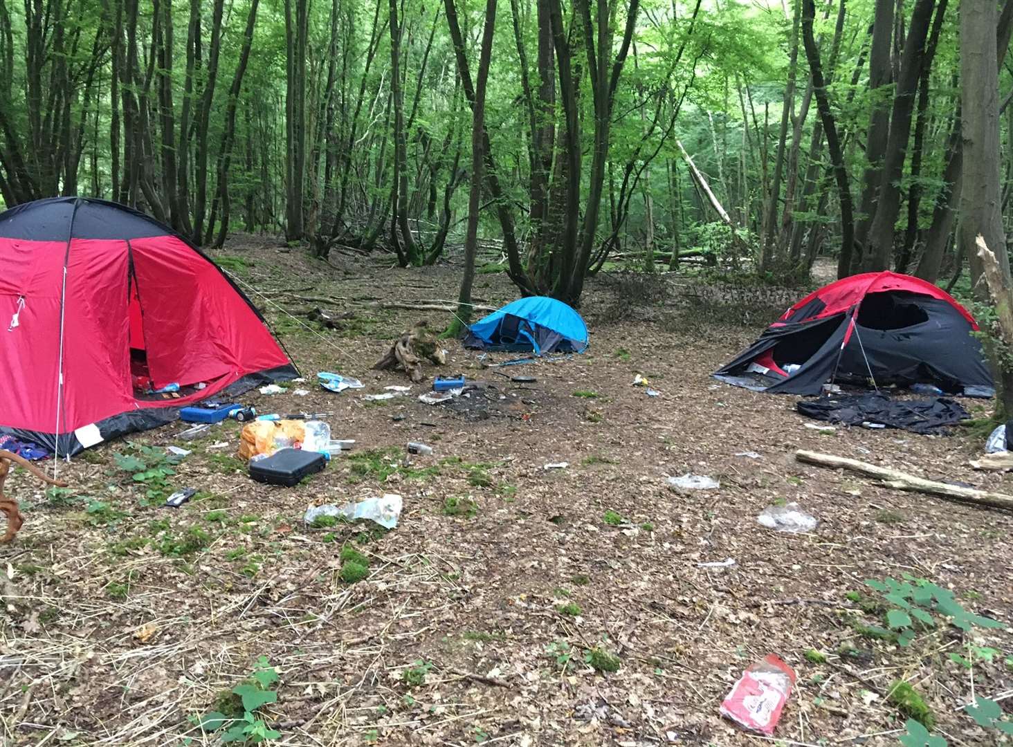 Wild campers have been leaving litter in woods at Pluckley near Ashford