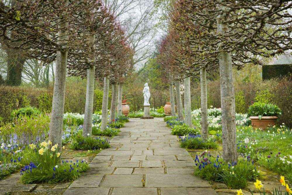 The Lime Walk in April at Sissinghurst Castle GardenPicture: National Trust/Andrew Butler