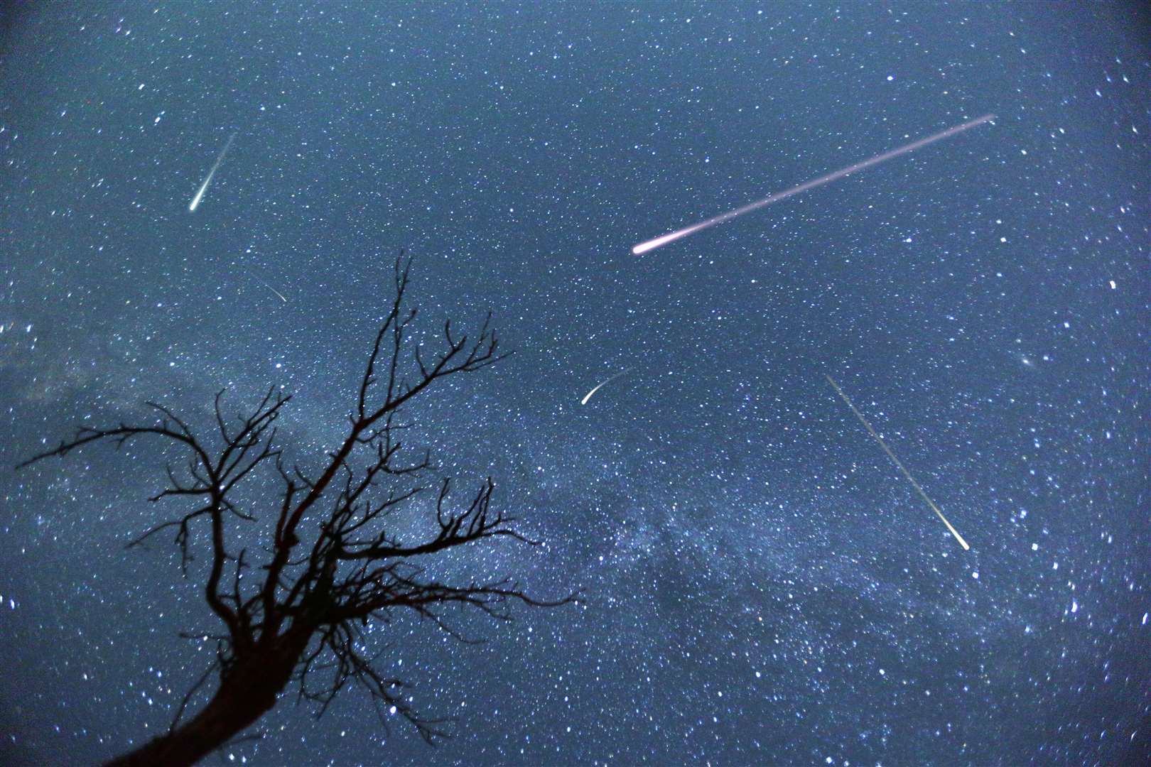 The peak could see 50 meteors an hour zoom across our skies Picture: Minko Chernev, Cyclonphoto