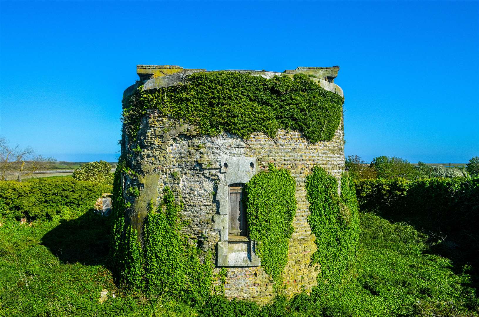 Rye tower, covered in ivy