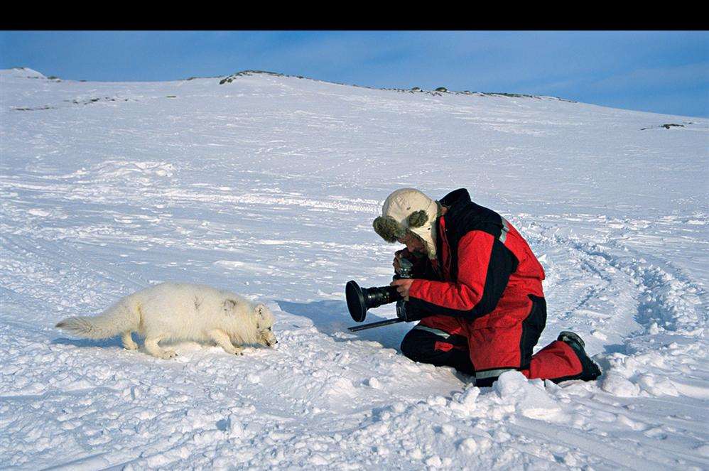 Cameraman Doug Allan on location in Svabard, Norwegian Arctic, filming arctic fox