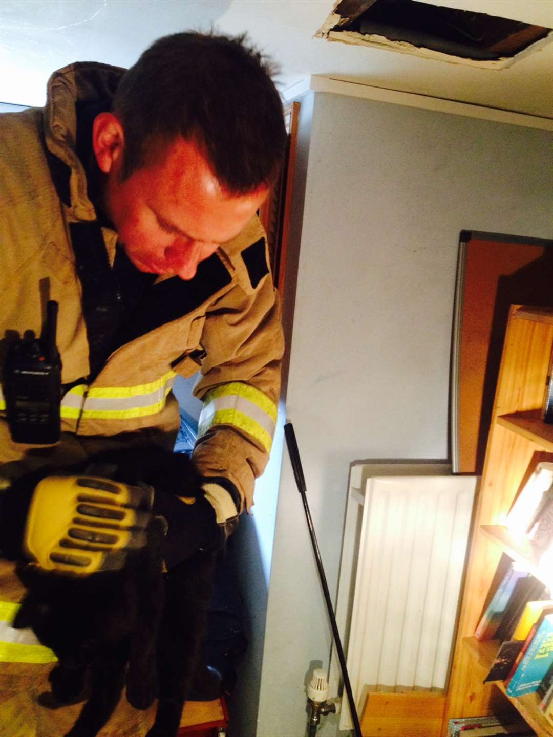 Cougar the cat was rescued by firefighters