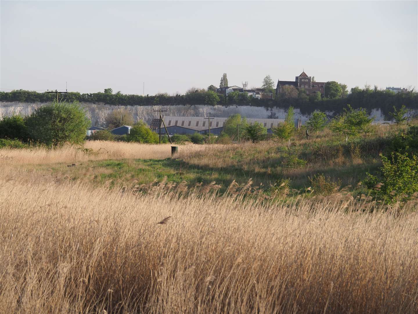 The Swanscombe marshes have been designated a special site of scientific interest. Photo: Barry Wright