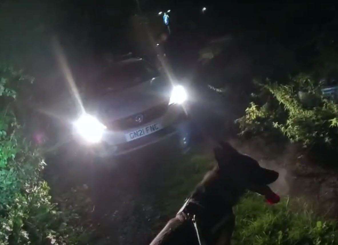 Police dog Coty's keen nose helped trace the suspect. Picture: Kent Police