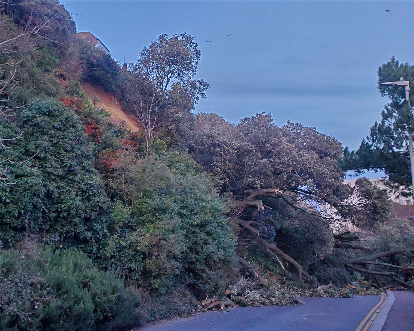 The Road of Remembrance in Folkestone has been blocked by a landslide and fallen trees. Picture: Michael Stainer