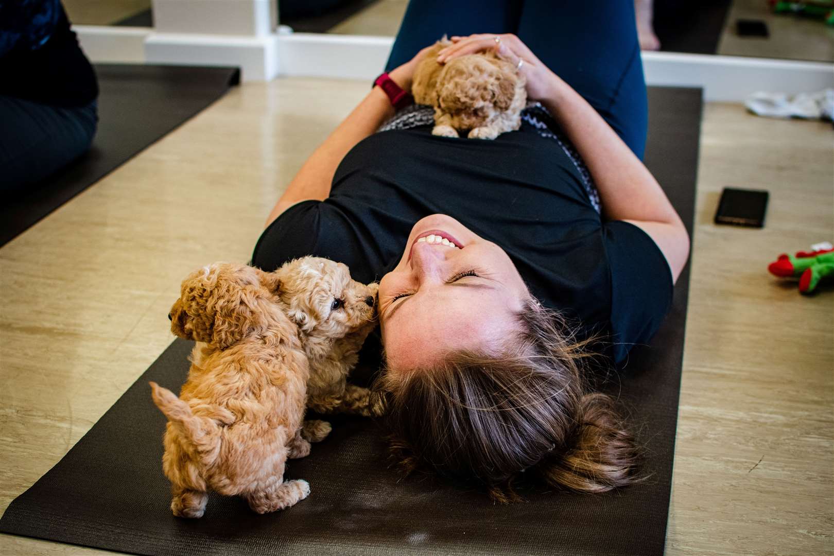 Stretch and exercise with Toy Poodles, Dachshunds, French Bulldogs and Pugs. Picture: Andrew Gill