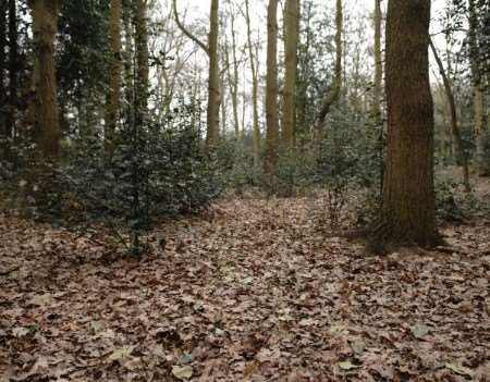 Police officers found a laptop and sack containing child pornography hidden in woodland off Holland Way, Hayes.