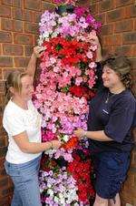 Shelene Mitchell, left, and Lisa Marshall, of Blooming High, who appeared on BBC's Dragons Den programme with their tall planter system, seen here