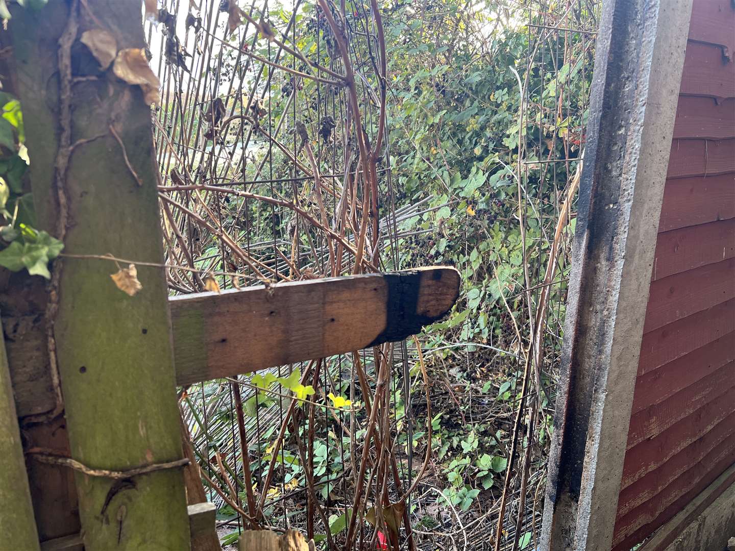 Vandalism caused by youths in the alleyway by Coombe Drive