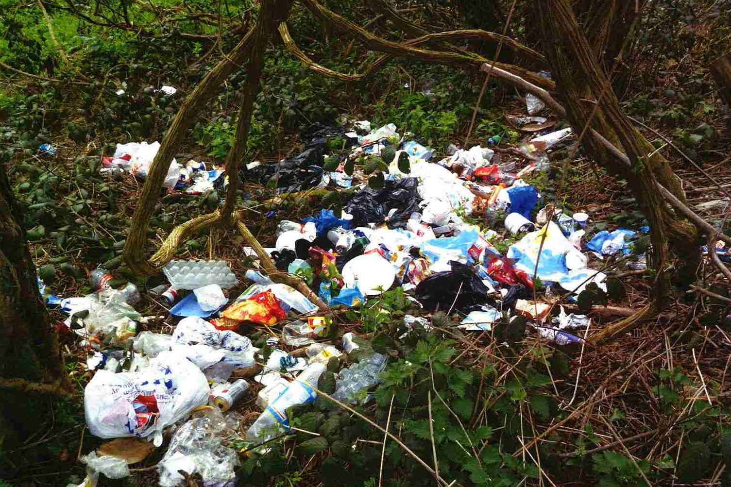 Fly tipped rubbish by Bohumil Bledy, 42, of Matthews Place, Dover,