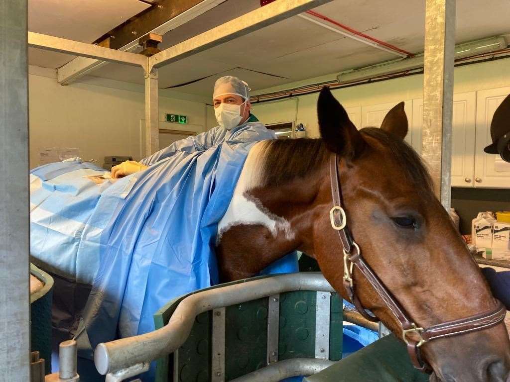 Miss Miller's horse is recovering from surgery so needs riding every day, but she said she won't be going out again until she gets a Go-Pro