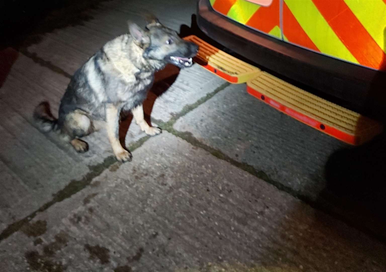 A police dog helped to track down a man who failed to stop for police