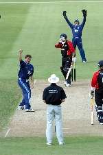 Surrey's Tim Murtagh appeals for the wicket of Andrew Hall. Picture: MATTHEW WALKER