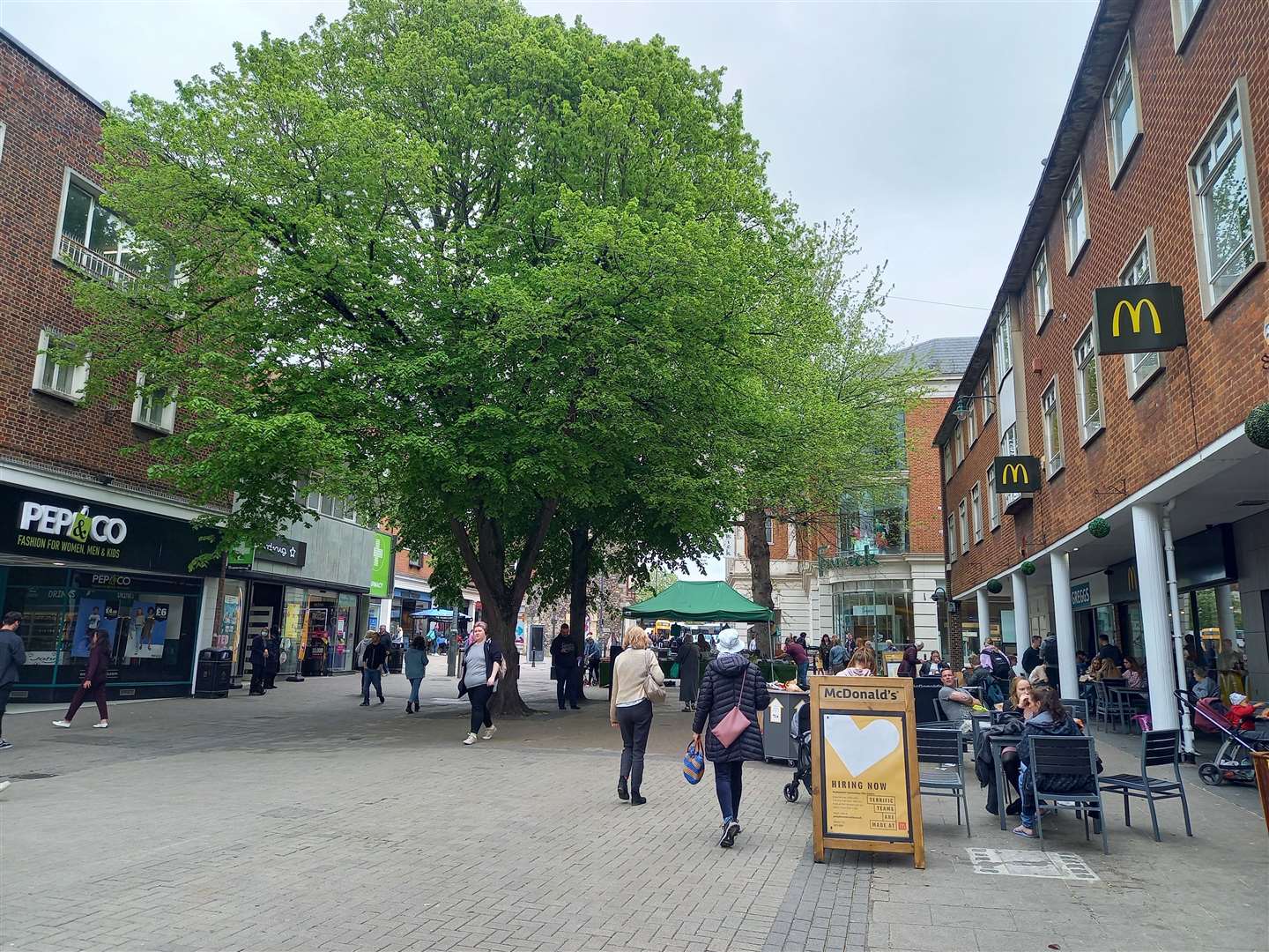 Five trees in the city's high street were set to be chopped down