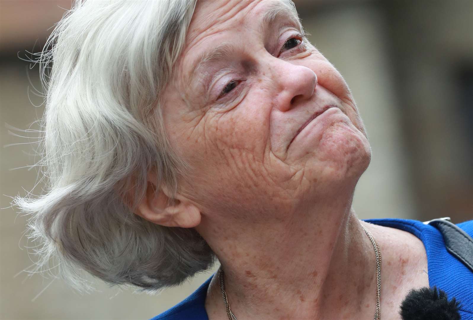 Ann Widdecombe, former Conservative MP and South West MEP Picture: John Westhrop