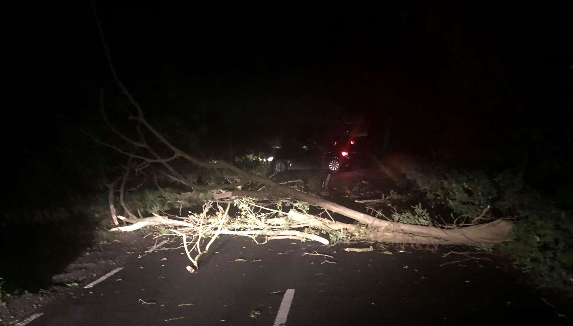 The Ratcliffe Highway was blocked when a tree came down in high winds