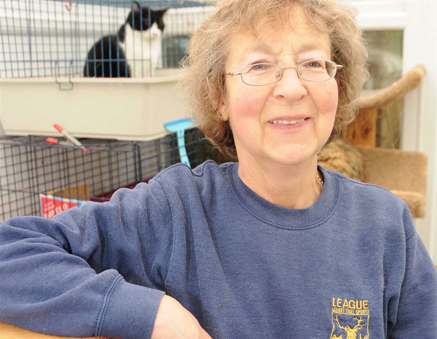 Mary Knott's charity, Cats in Crisis, homes stray and feral cats. Picture: Barry Duffield