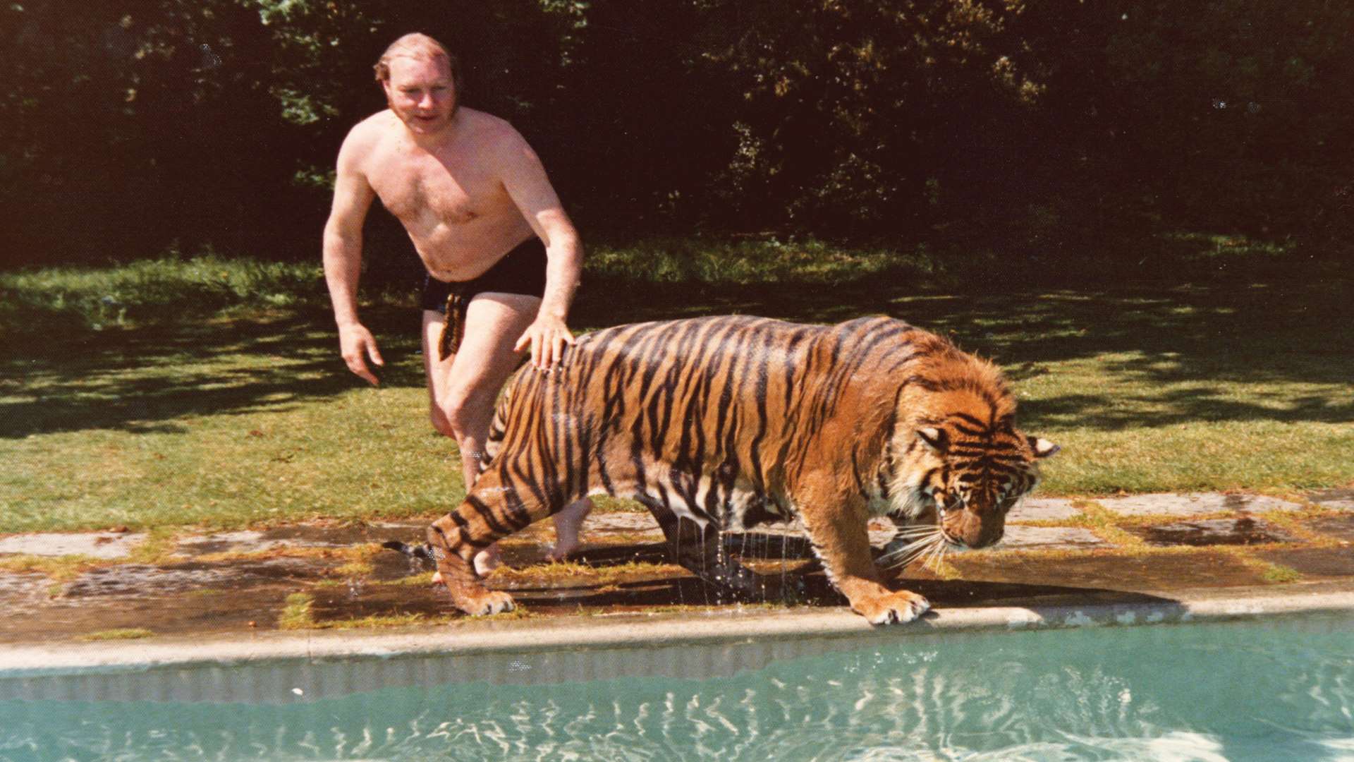 John Aspinall with one of his tigers in the late 1970s
