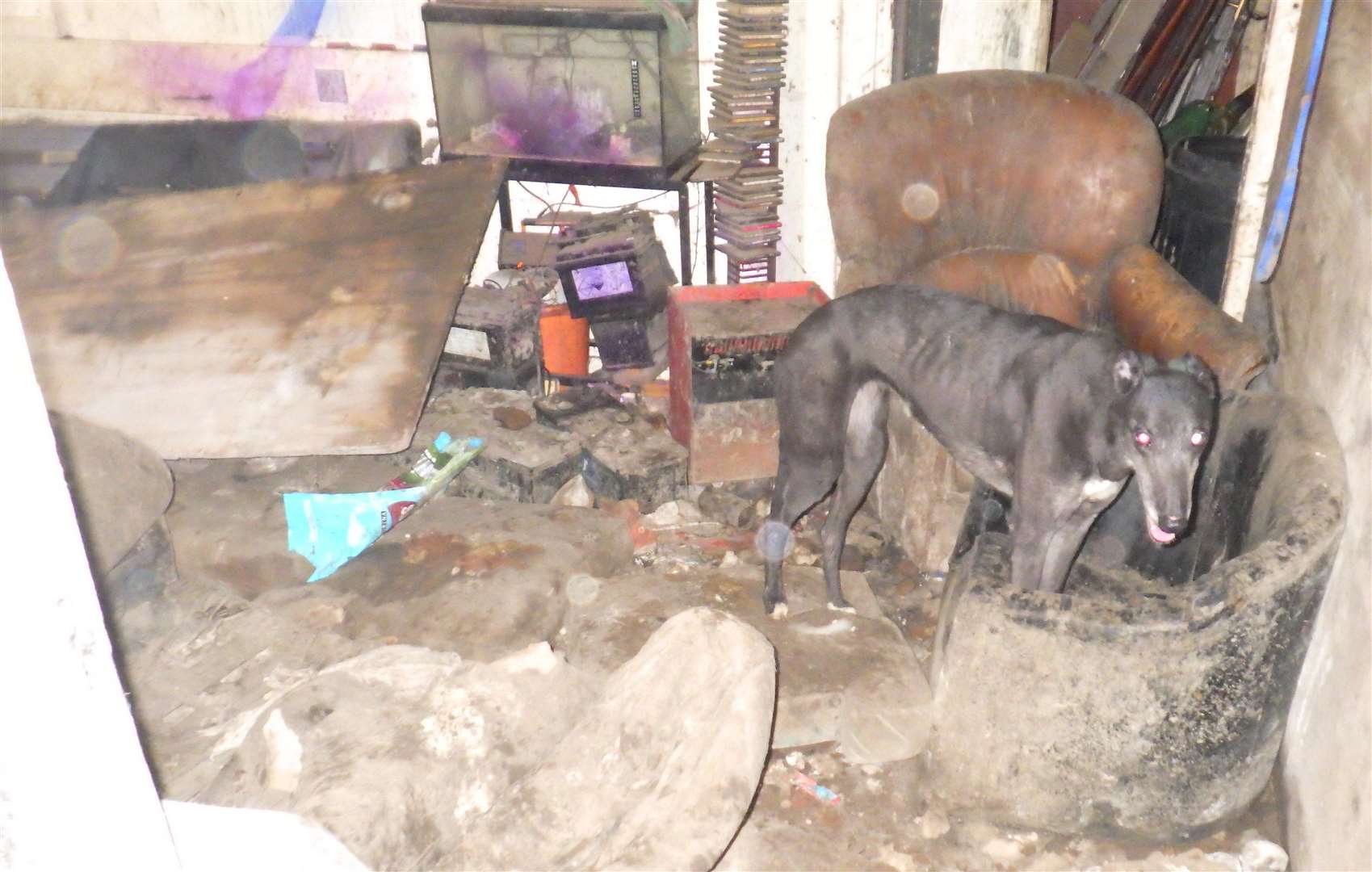 Photos taken by investigators of the conditions in which Langley Beck kept his animals