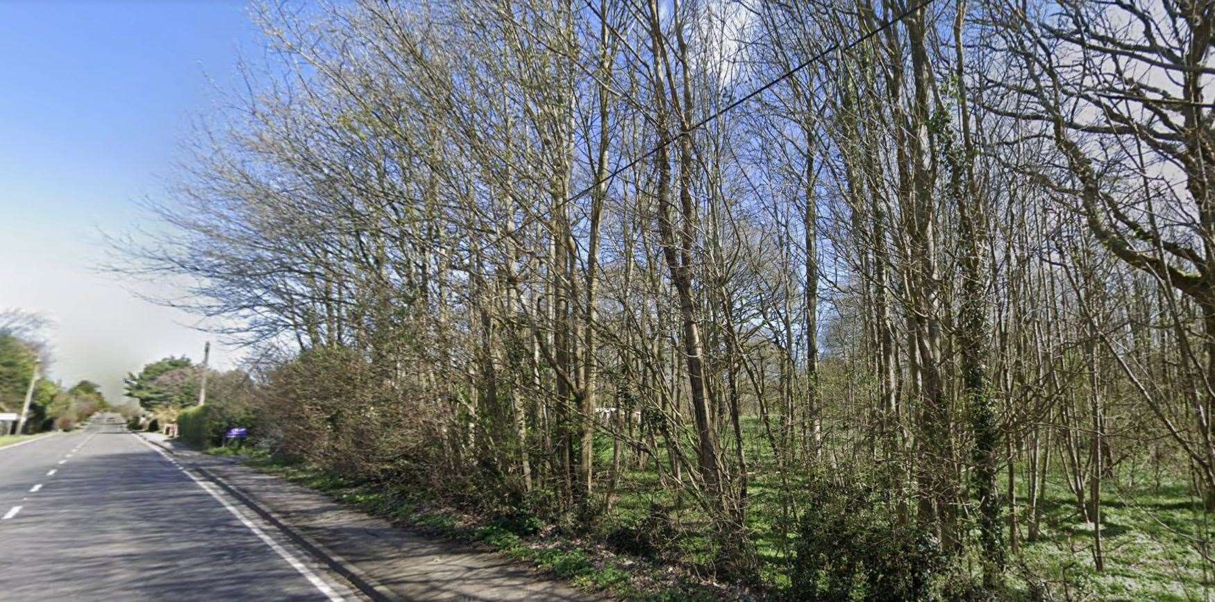 Police searched woods in Hawkinge near Folkestone for a man with a weapon. Photo: Google Maps